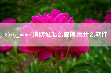 梅州消防证怎么查询,用什么软件