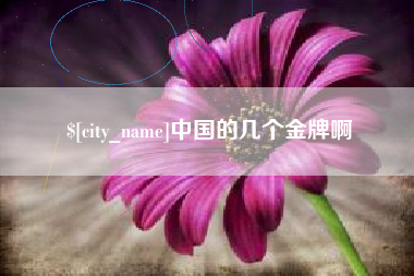 梅州中国的几个金牌啊