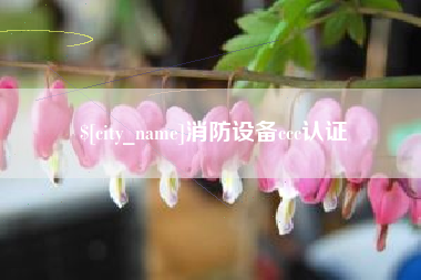 梅州消防设备ccc认证