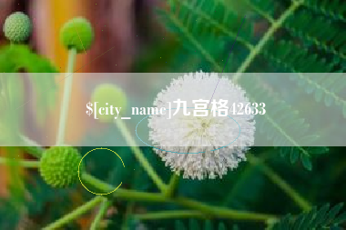 梅州九宫格42633