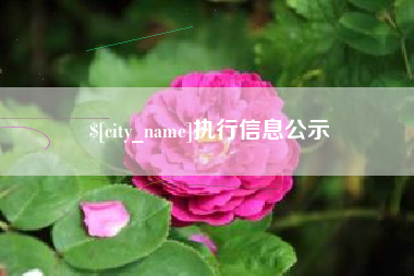 梅州执行信息公示