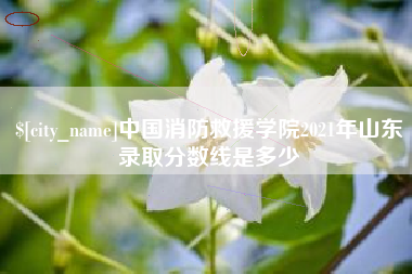 梅州中国消防救援学院2021年山东录取分数线是多少