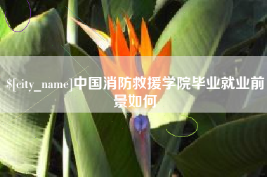 梅州中国消防救援学院毕业就业前景如何