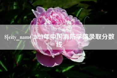 梅州2021年中国消防学院录取分数线