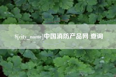 梅州中国消防产品网 查询