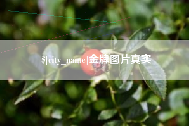 梅州金牌图片真实