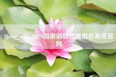 梅州2020国家消防救援报名系统官网