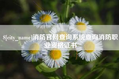 梅州消防官网查询系统查询消防职业资格证书
