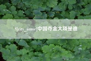 梅州中国夺金大项是谁