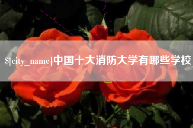 梅州中国十大消防大学有哪些学校