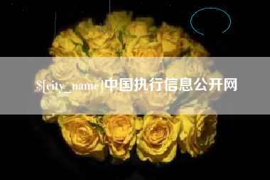 梅州中国执行信息公开网
