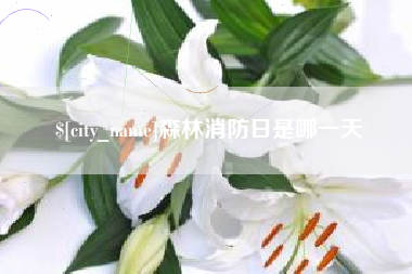 梅州森林消防日是哪一天