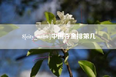 梅州中国夺金排第几