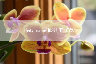 梅州邱县王子磊