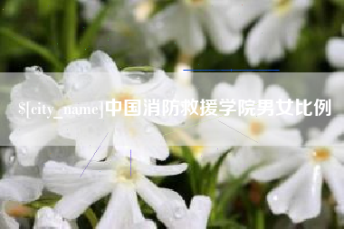 梅州中国消防救援学院男女比例