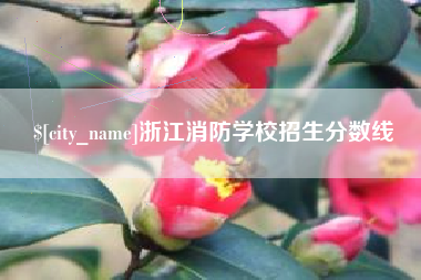梅州浙江消防学校招生分数线