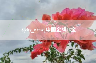 梅州中国金牌18金