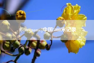 梅州中国5000米记录