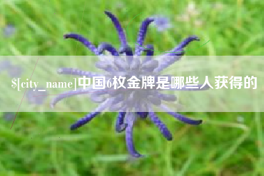 梅州中国6枚金牌是哪些人获得的