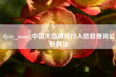 梅州中国失信被执行人信息查询公开网址