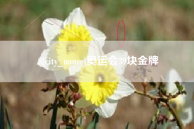 梅州奥运会39块金牌