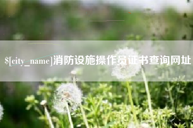 梅州消防设施操作员证书查询网址
