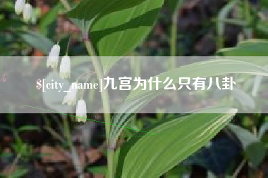 梅州九宫为什么只有八卦