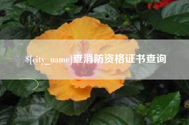梅州查消防资格证书查询