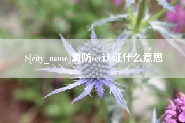 梅州消防ccc认证什么意思