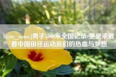 梅州男子5000米全国记录-更是承载着中国田径运动员们的热血与梦想