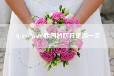 梅州我国消防日是哪一天
