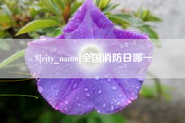 梅州全国消防日哪一