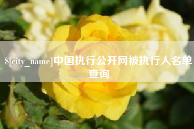 梅州中国执行公开网被执行人名单查询