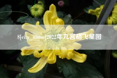梅州2022年九宫格飞星图