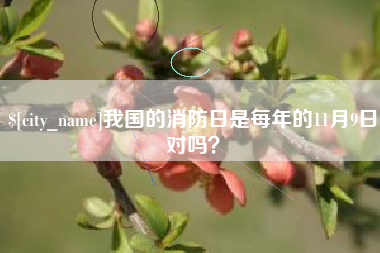 梅州我国的消防日是每年的11月9日对吗？