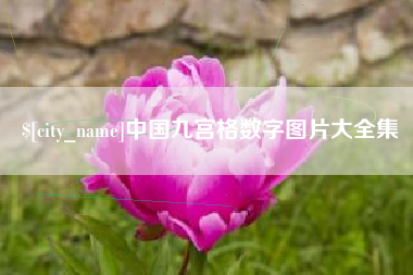 梅州中国九宫格数字图片大全集