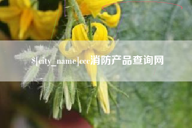 梅州ccc消防产品查询网