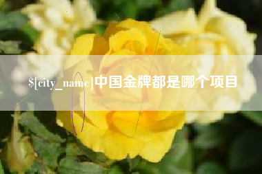 梅州中国金牌都是哪个项目