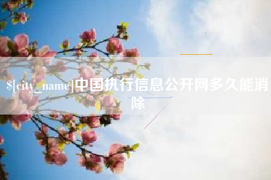 梅州中国执行信息公开网多久能消除