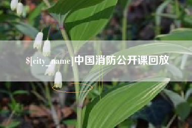 梅州中国消防公开课回放