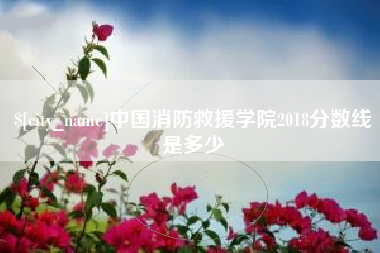 梅州中国消防救援学院2018分数线是多少