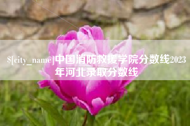 梅州中国消防救援学院分数线2023年河北录取分数线