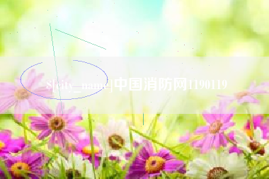 梅州中国消防网1190119