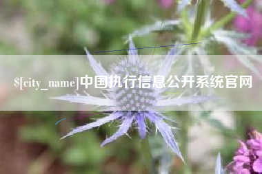 梅州中国执行信息公开系统官网