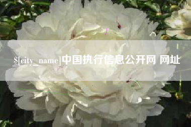 梅州中国执行信息公开网 网址
