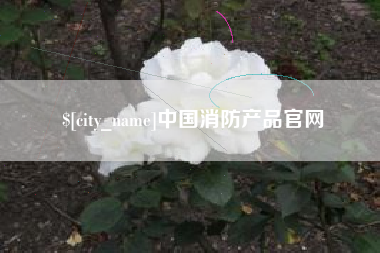 梅州中国消防产品官网