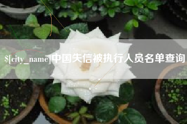 梅州中国失信被执行人员名单查询
