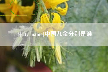 梅州中国九金分别是谁