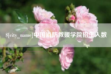 梅州中国消防救援学院招生人数