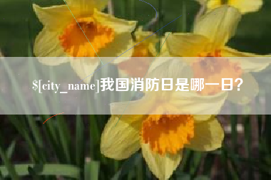 梅州我国消防日是哪一日？